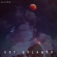 Voy Volando
