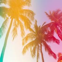 80's style background music(1405364)