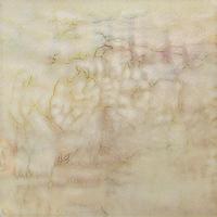 country (90)