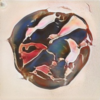Full Spring