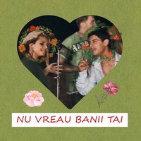 Nu Vreau Banii Tai
