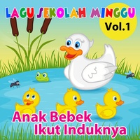 Tok Tok Tok Suara Apa