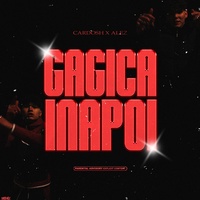Gagica Inapoi