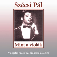 Talán, sok év után