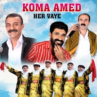 Şerizdin