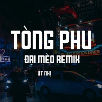 Tòng Phu (Đại Mèo Remix)