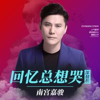 回忆总想哭(深情版)