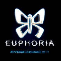 No Podre Olvidarme De Ti