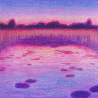 Amapolas (Acústico)