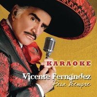 Estos Celos (Karaoke Version)