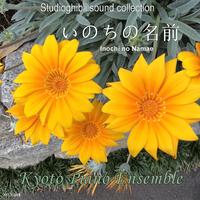 Inochi no Namae (Sen to Chihiro no Kamikakushi) - inst version