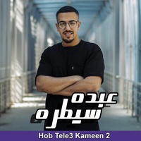 الحب طلع كمين 2