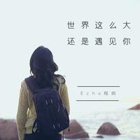 世界这么大还是遇见你(剪辑版)