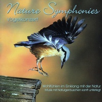 Regenlied