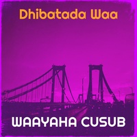Dhibatada Waa