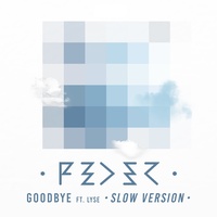 Goodbye (feat. Lyse) [Slow Version]