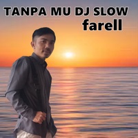 without you dj slow