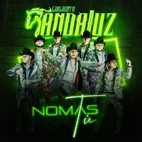 Nomas Tú