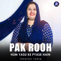 Pak Rooh Hum Yasu Ke Pyase Hain