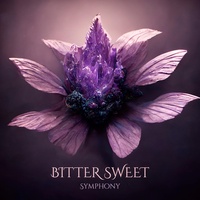 Bitter Sweet Symphony - Instrumental