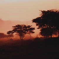Soaking Worship Resting Place