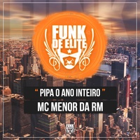 Pipa o Ano Inteiro