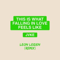 this is what falling in love feels like - Leon Leiden Remix