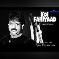 Koi Fariyaad - Flute Instrumental
