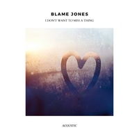 I Don't Want to Miss a Thing - Acoustic