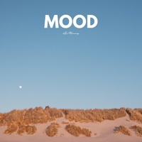 Mood - Violin Version