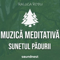 Sunetul padurii, muzica de meditatie