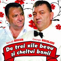 Am Facut In Viata Multe - Live