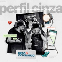 Perfil Cinza