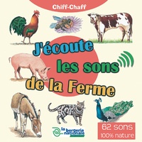 Chèvres en enclos