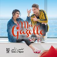 Ma gazelle