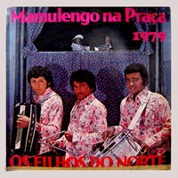 Em vez da carta vou eu  - OS FILHOS DO NORTE