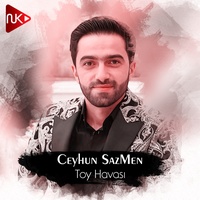 Toy Havası