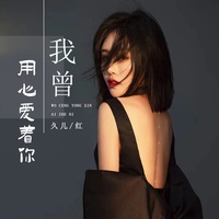 我曾用心爱着你 (副歌)