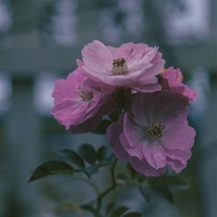 Tháng năm đó ai trả lại cho chúng ta (Beat)