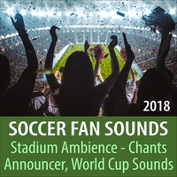 Goal! Football Stadium Noise, Crowd Screams, Clapping, Catching Noises, Catching Song