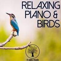 Relaxing piano and birds
