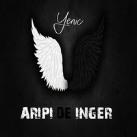 ARIPI DE INGER
