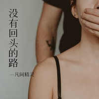 没有回头的路 - DJ小鹏版