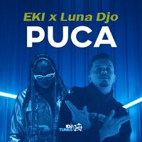Puca