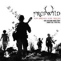 Hoher Flug, tiefer Fall