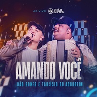 Amando Você - Ao Vivo