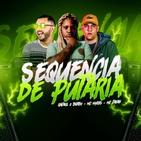 Sequência de Putaria - Brega Funk