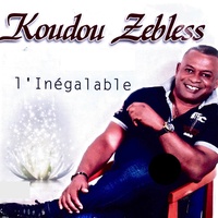 Wa ziôdi - Koudou Zebless