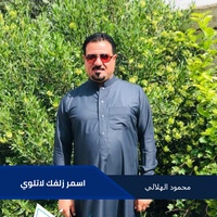 اسمر زلفك لاتلوي