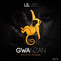 E.A (En Attendant) Gwanzan - Lil Zed